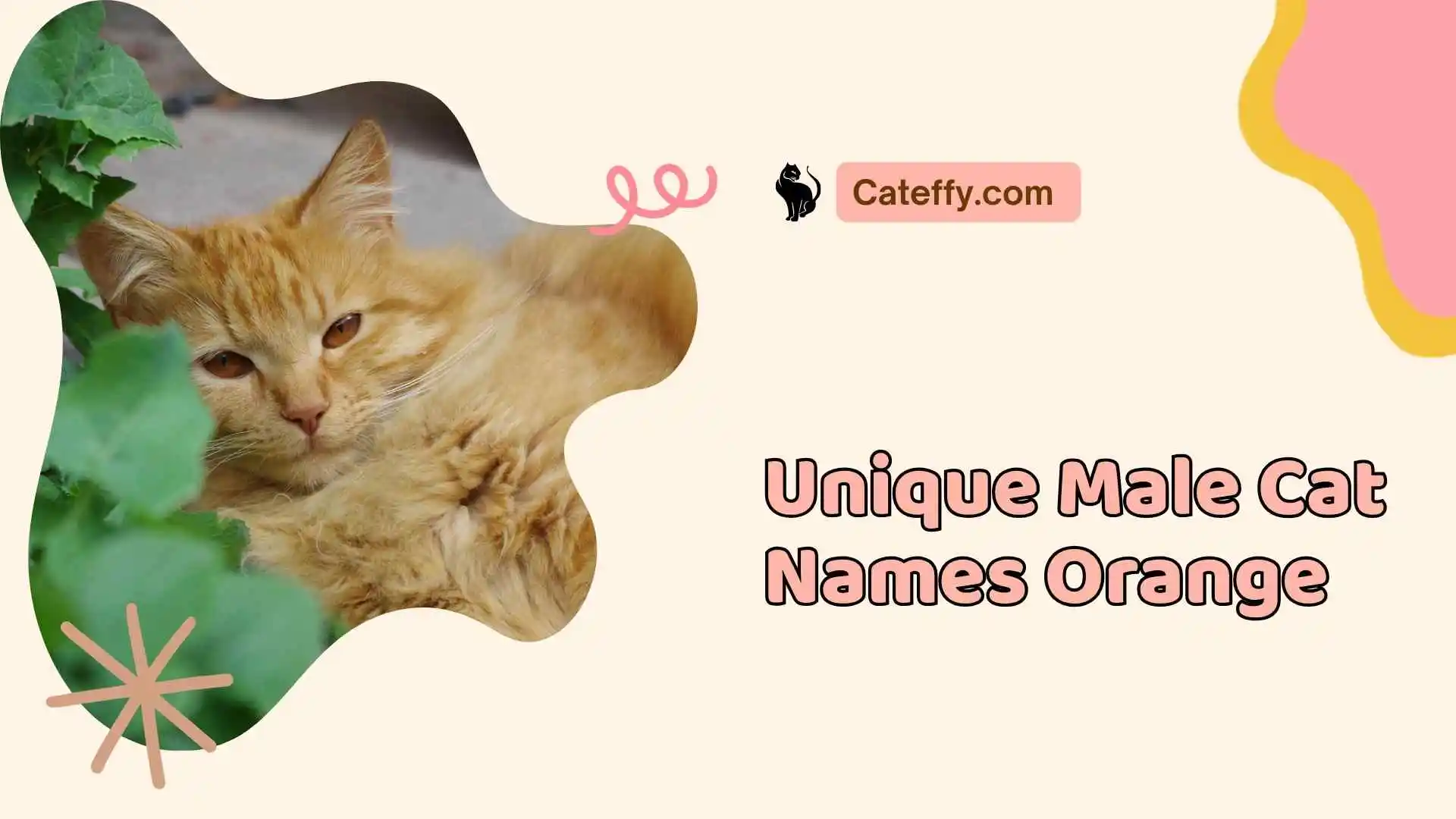 unique male cat names orange