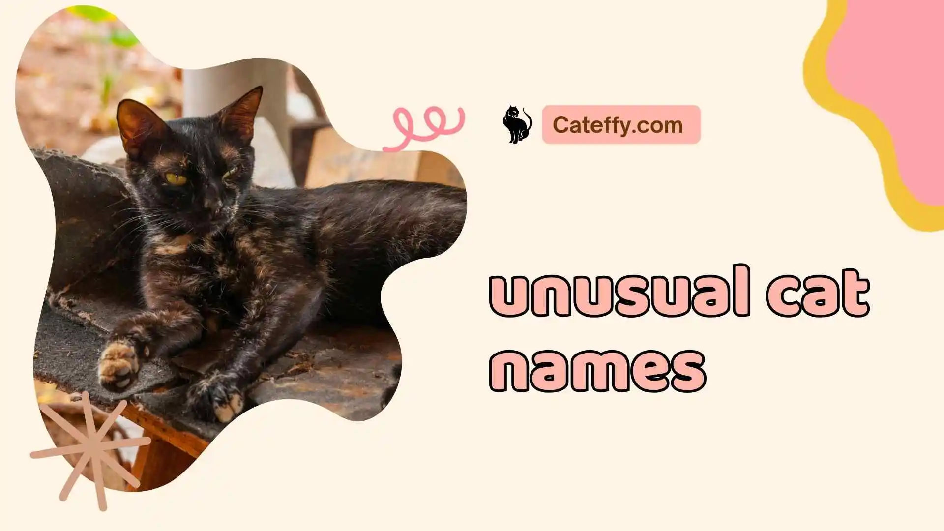 unusual cat names