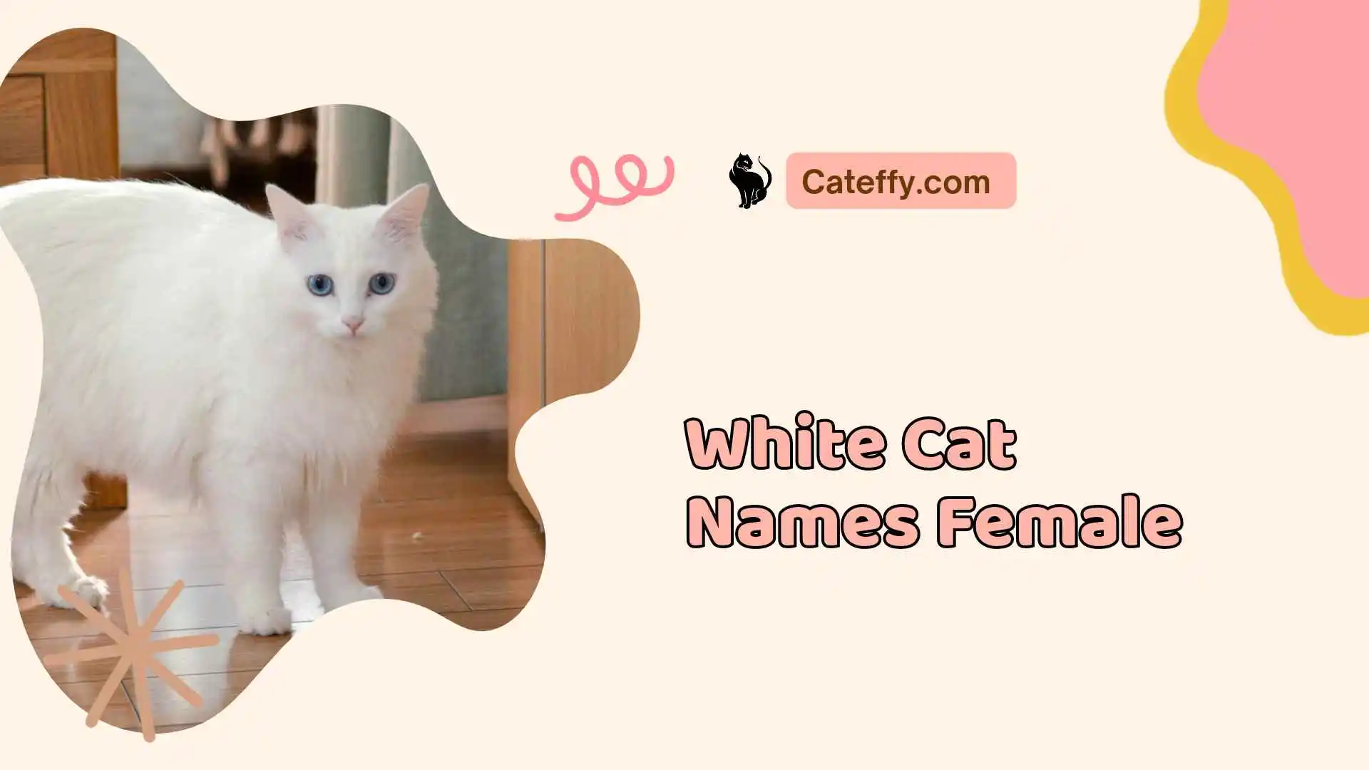 white cat names female