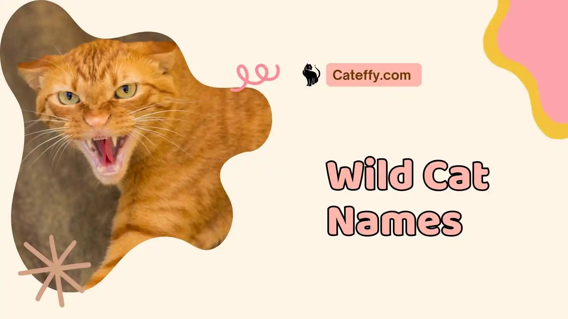 wild cat names