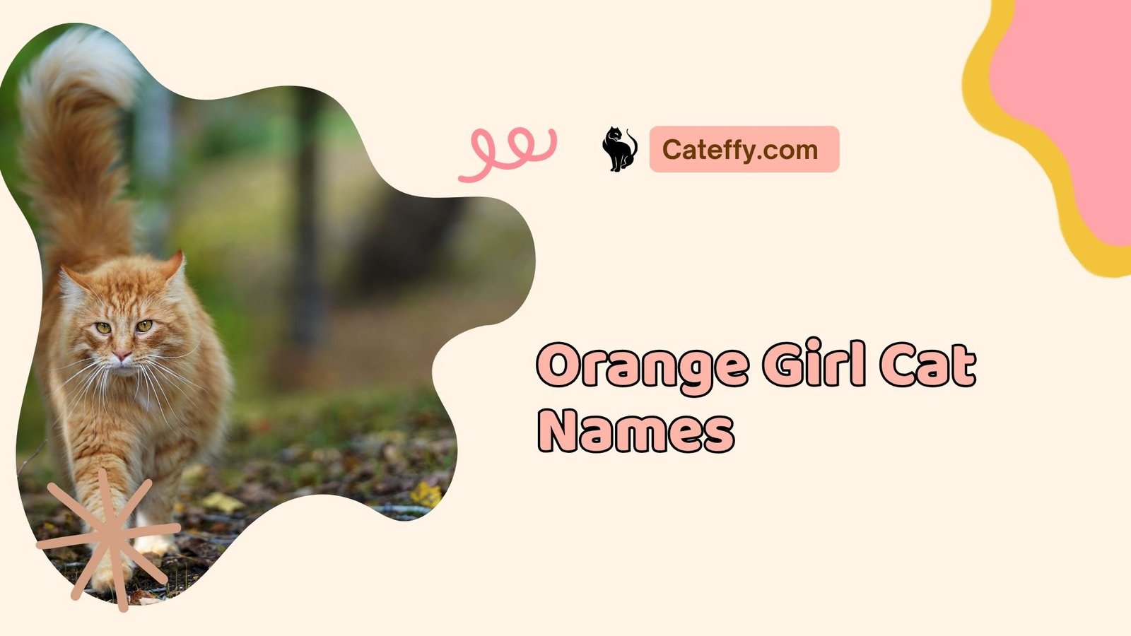 unusual female cat names